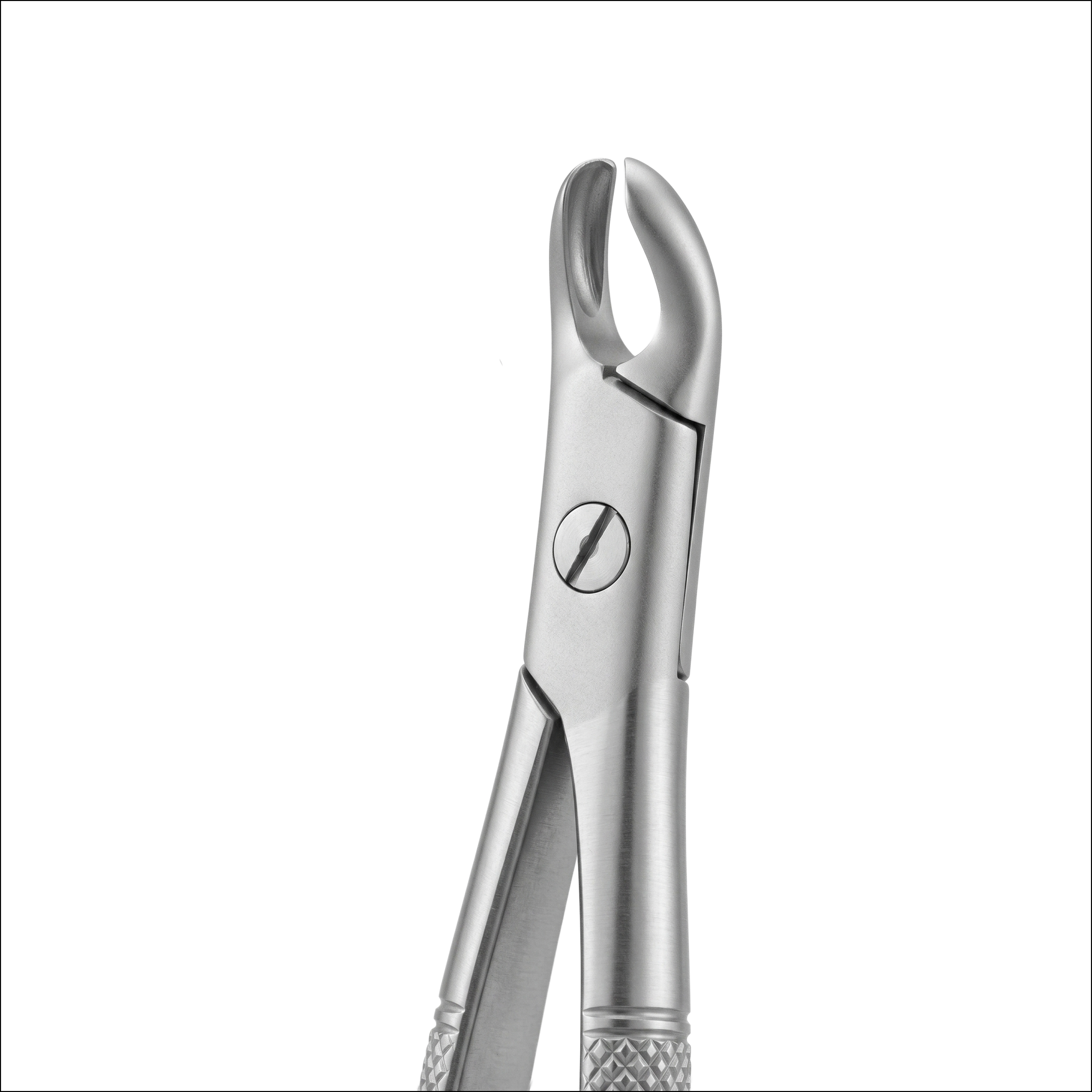 upper molars left gig 103
