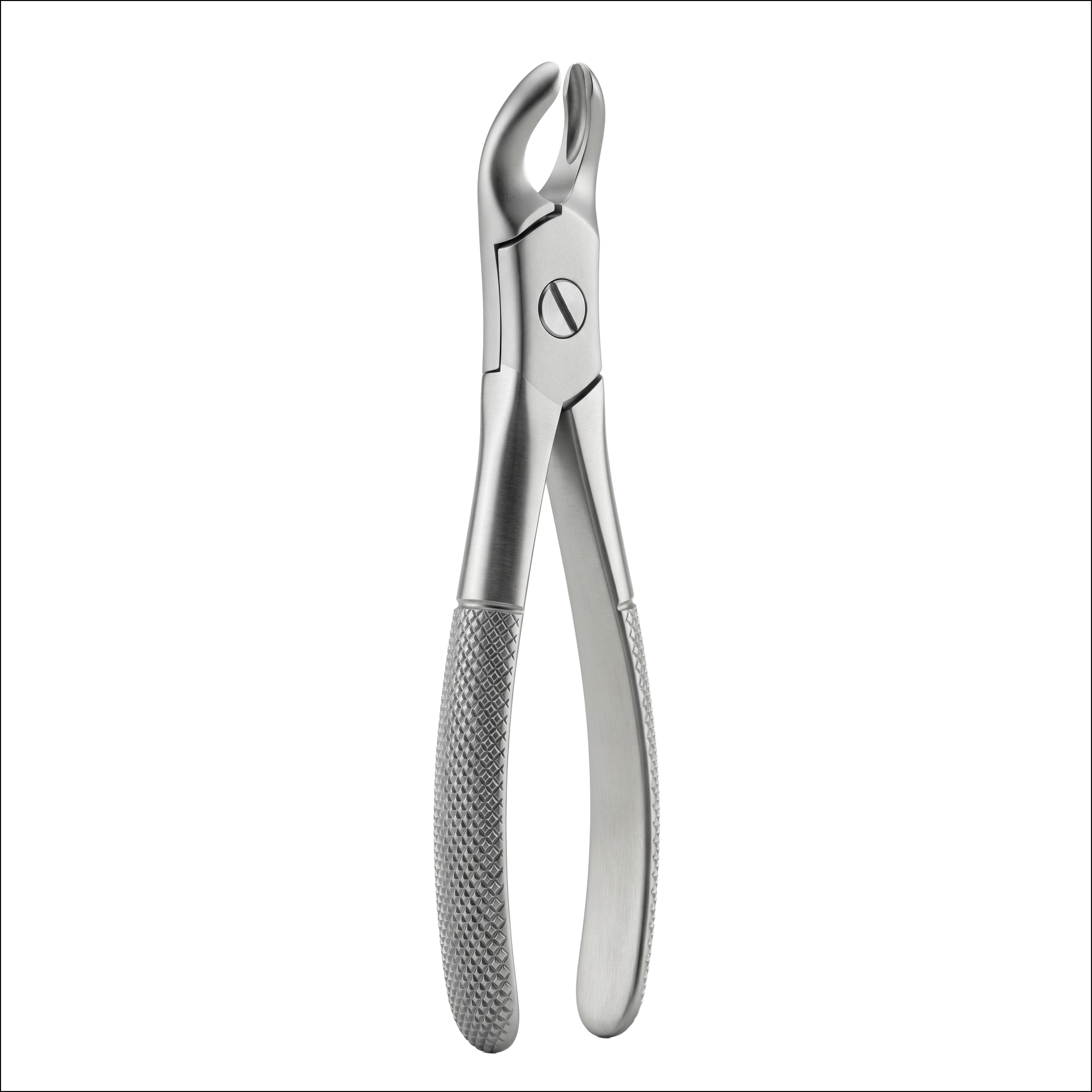 upper molars right