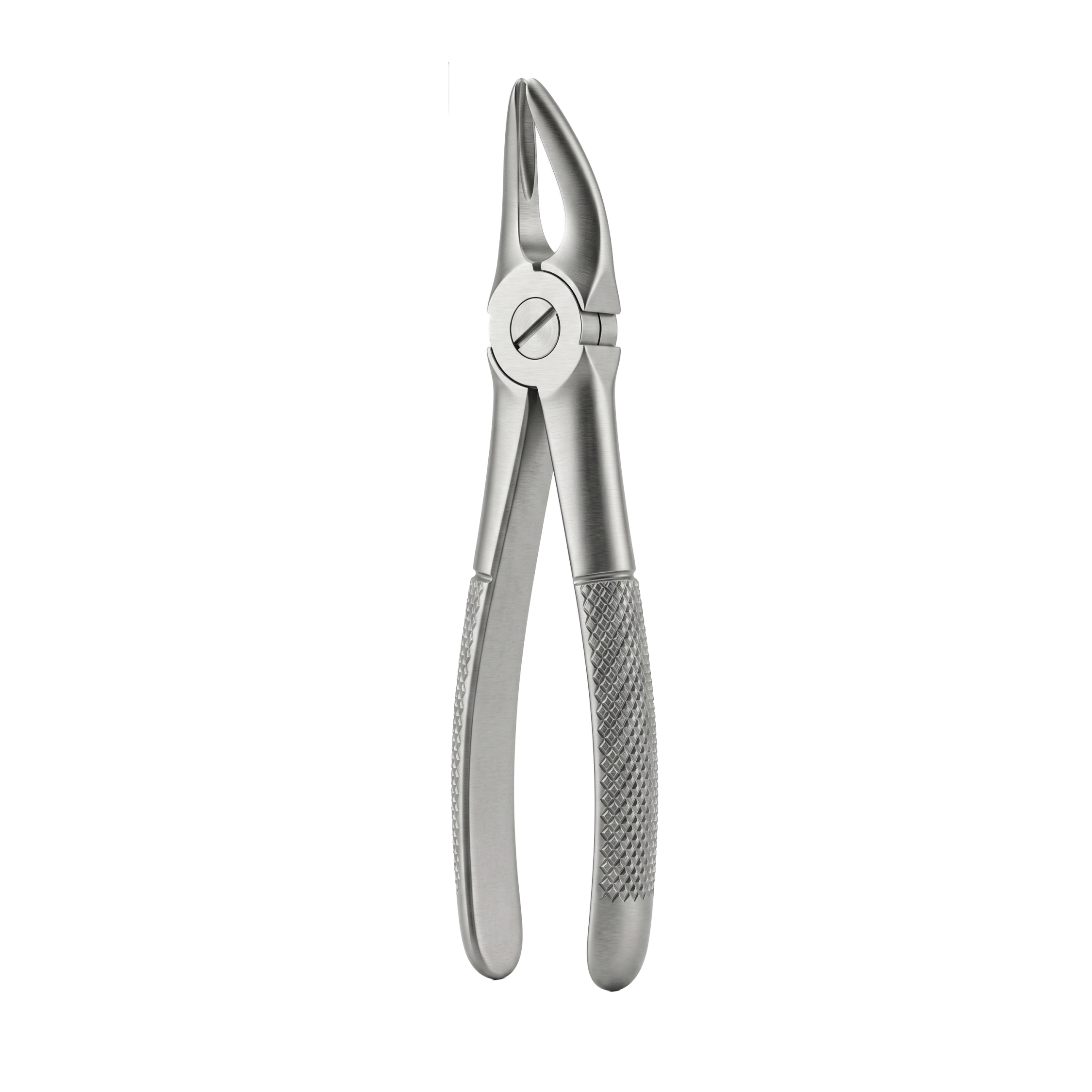 fig 30 upper roots