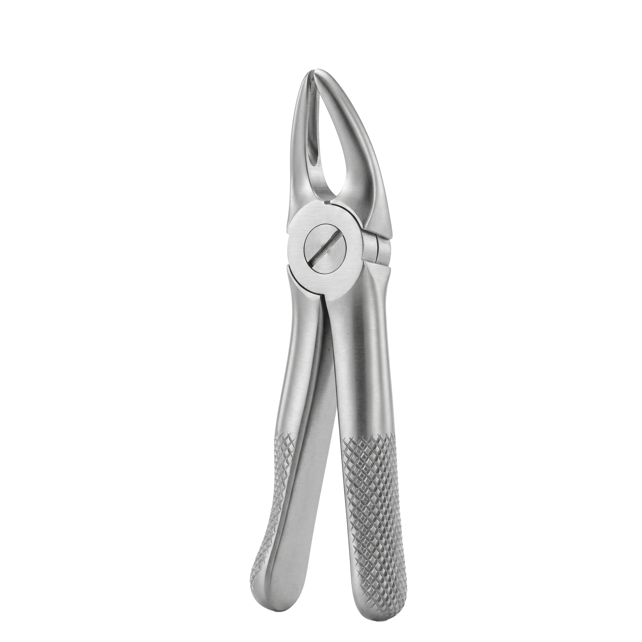 fig 30S uppe roots for childrens