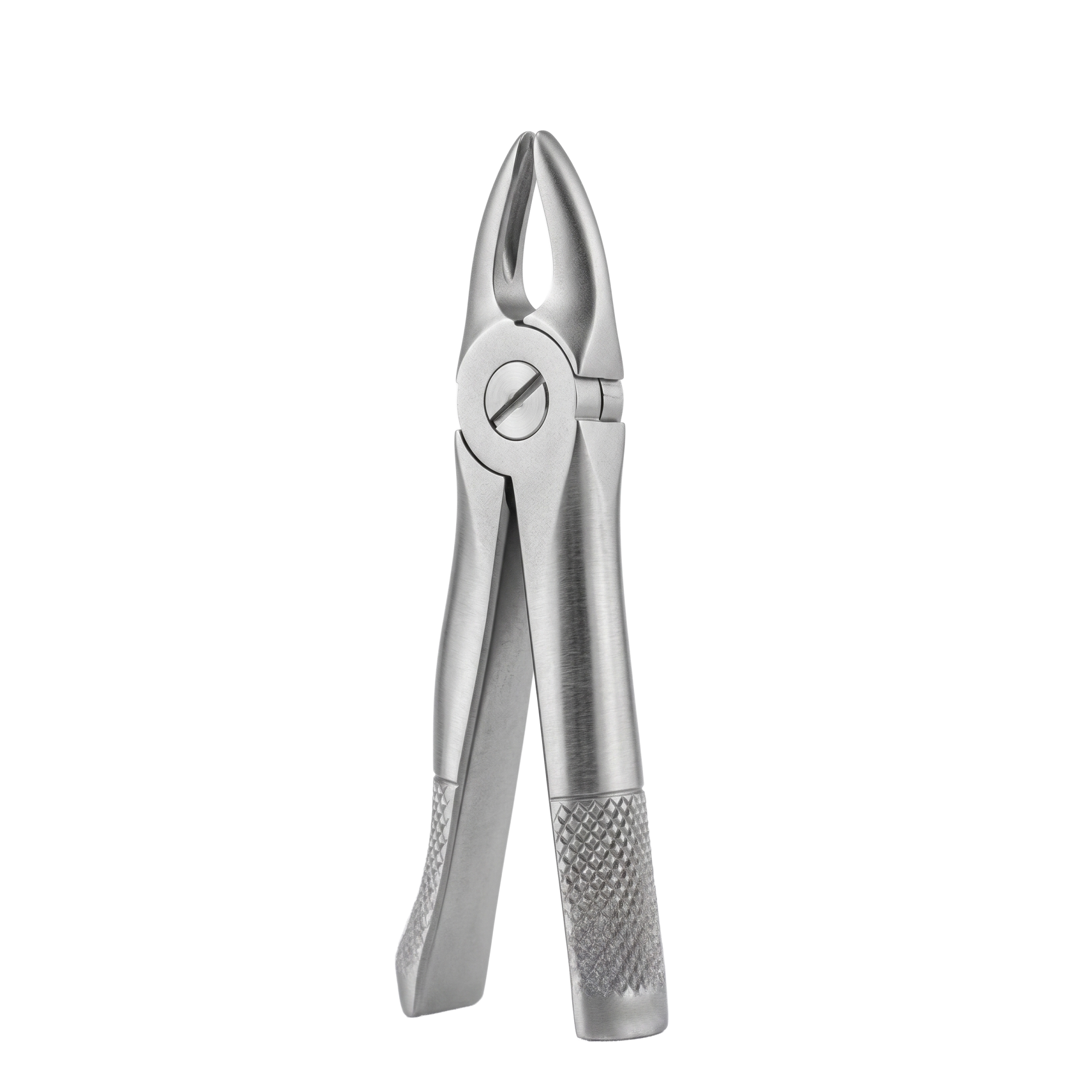 fig 37 upper incisors for childrens