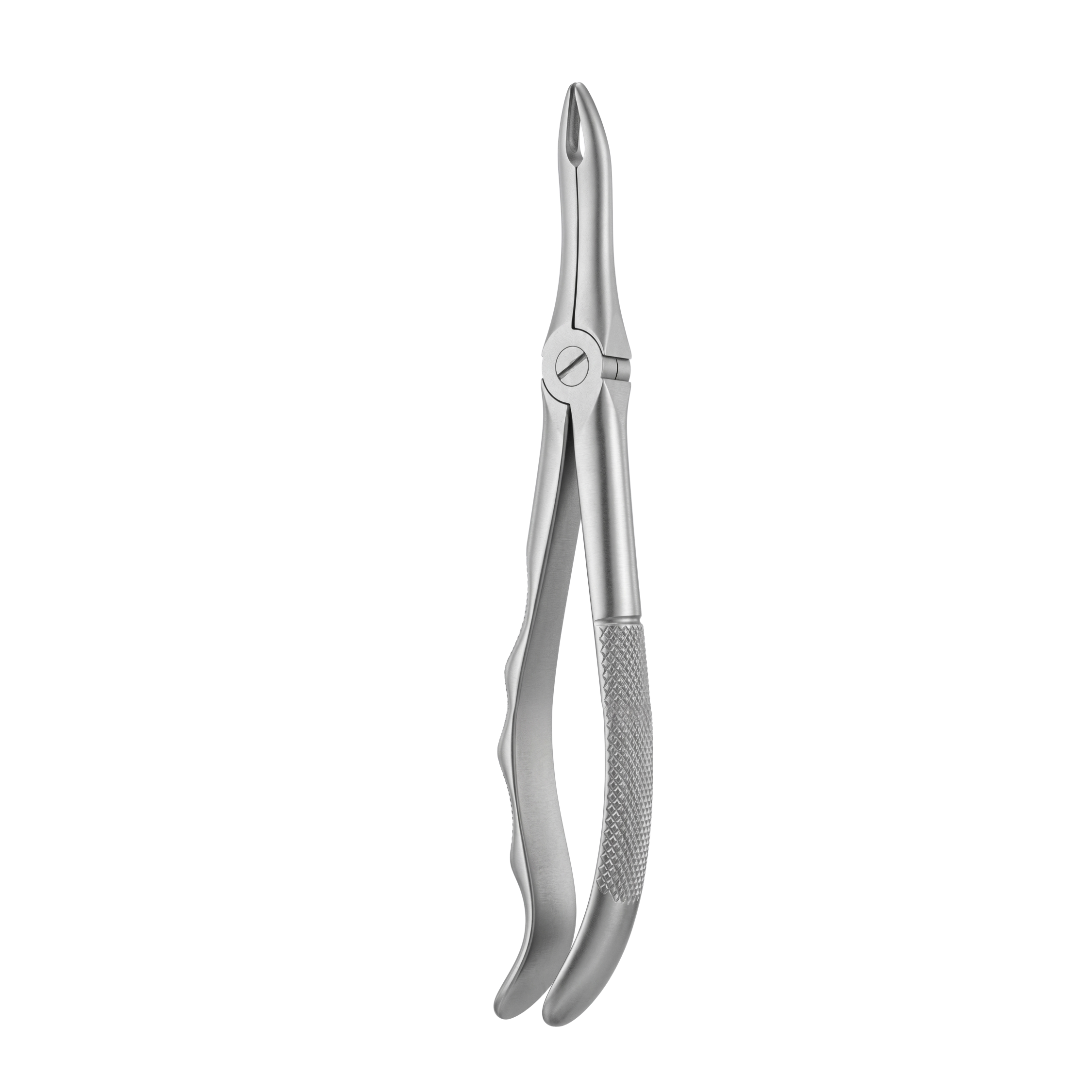 fig 41 upper roots