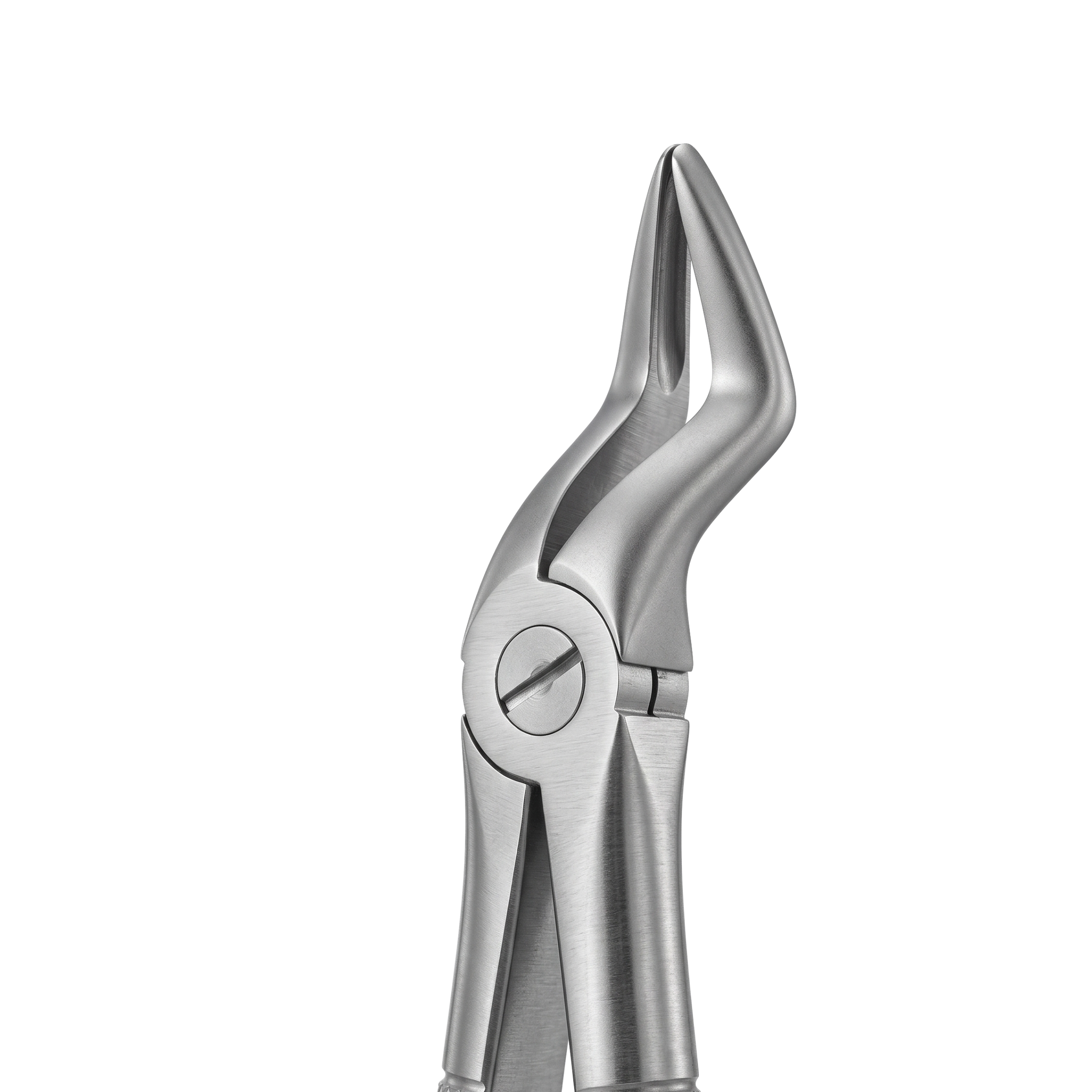 fig 51 upper roots