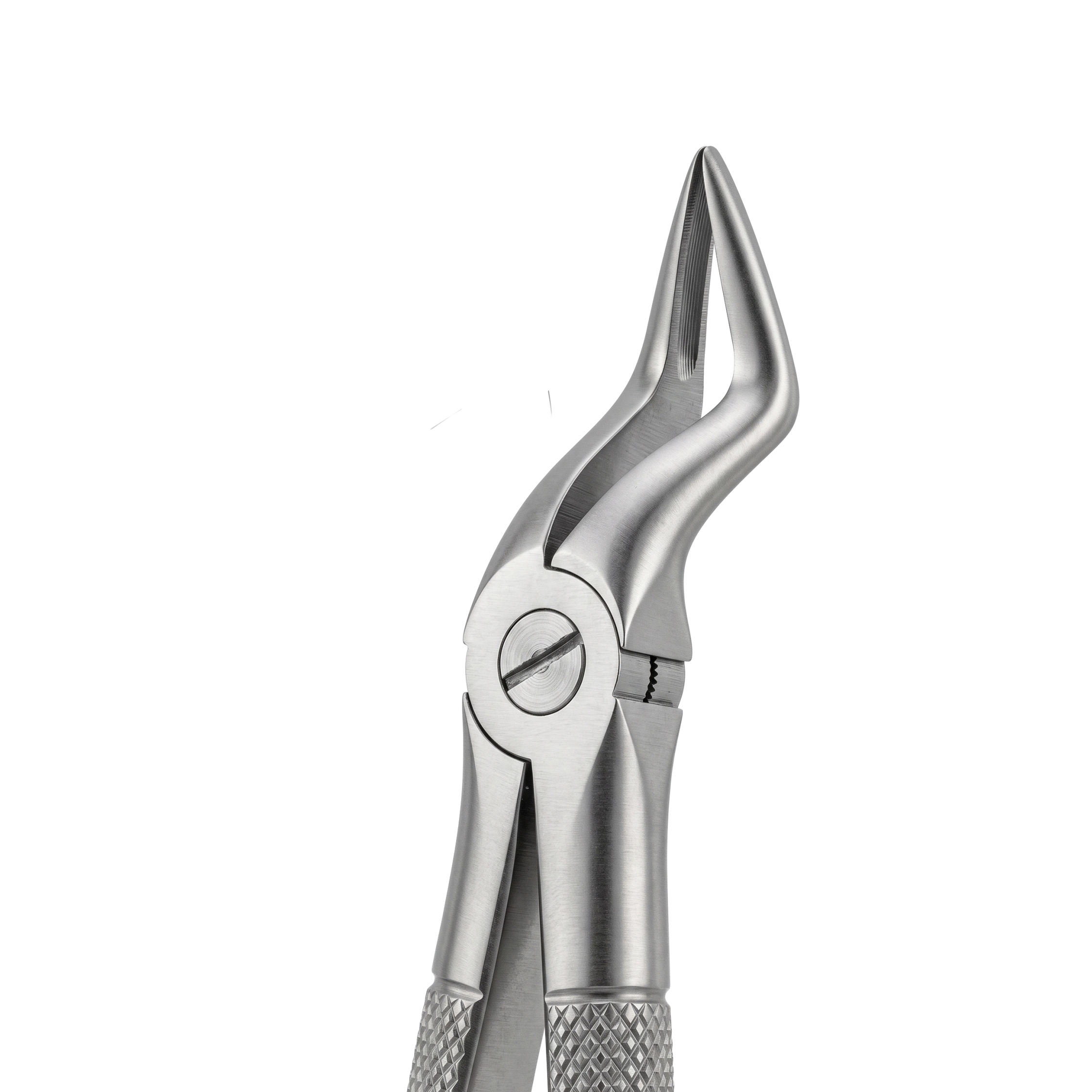 fig 51A upper roots