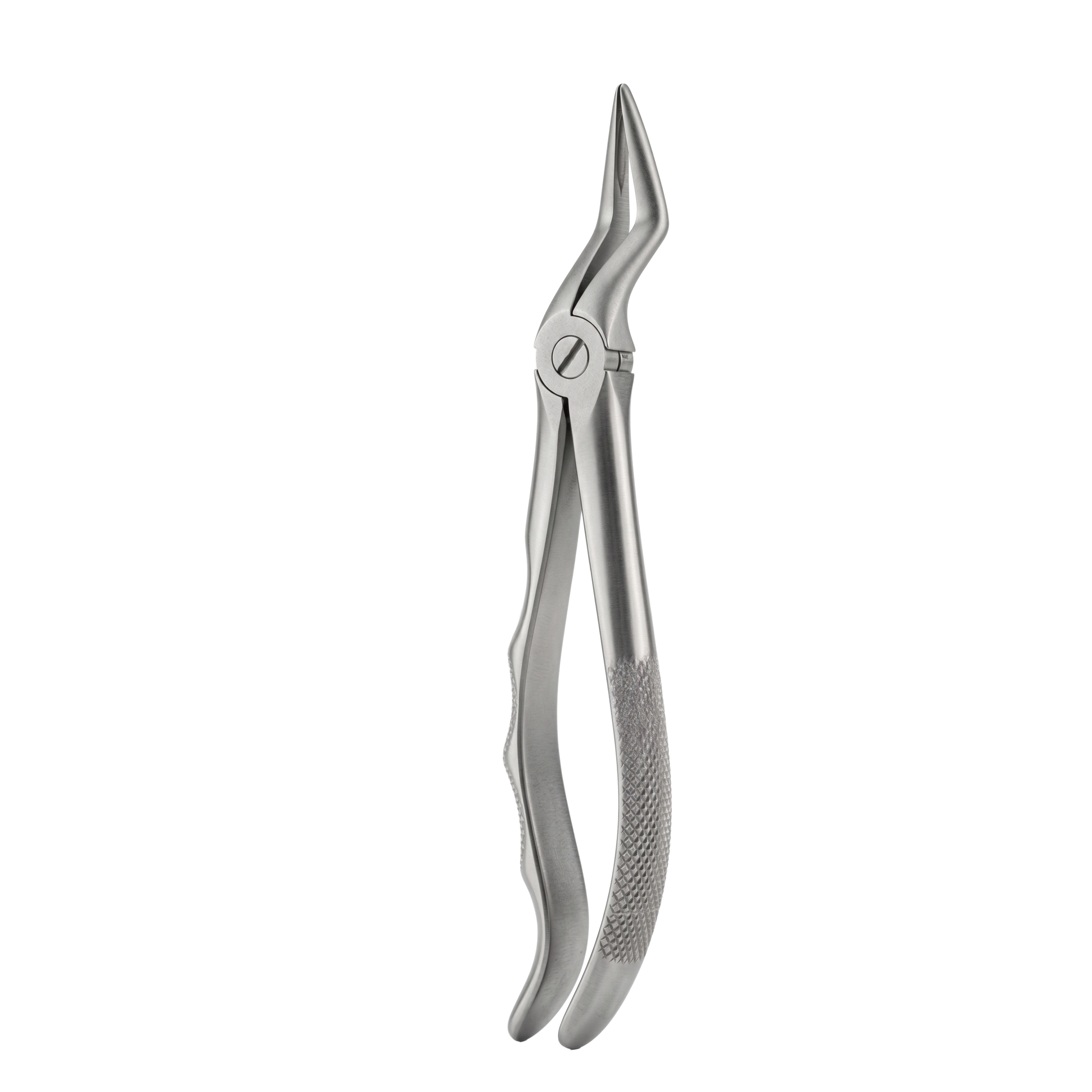 fig 51L upper roots