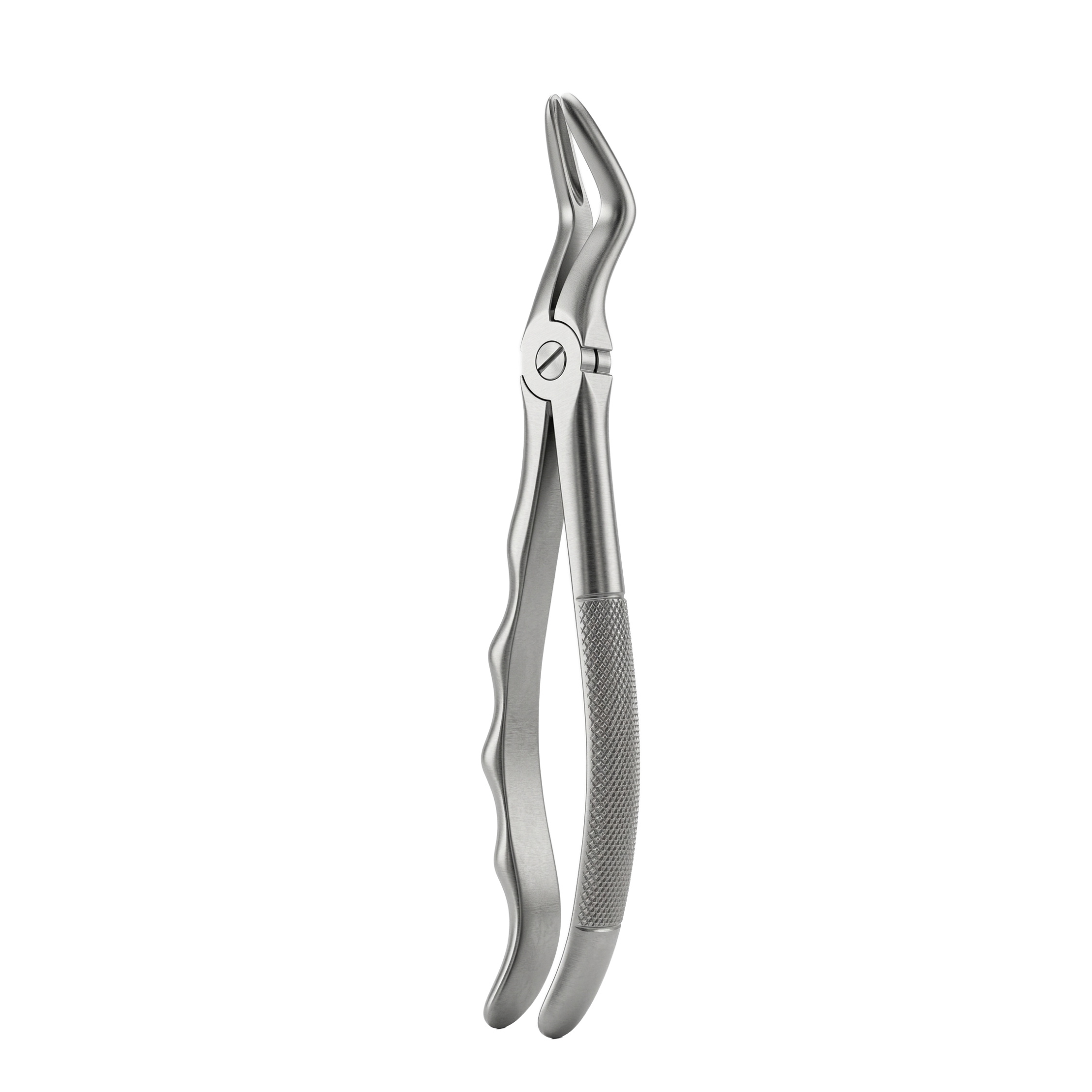 fig 52 upper roots