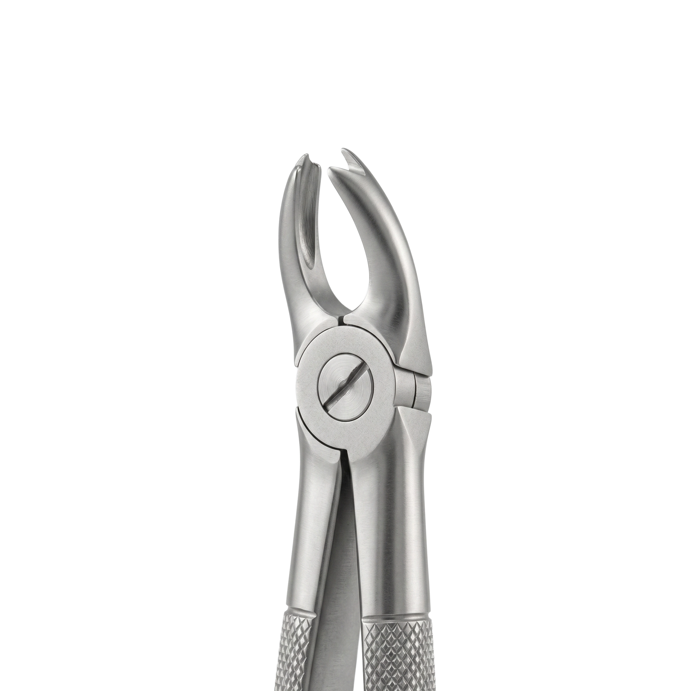 fig 65R upper molars right