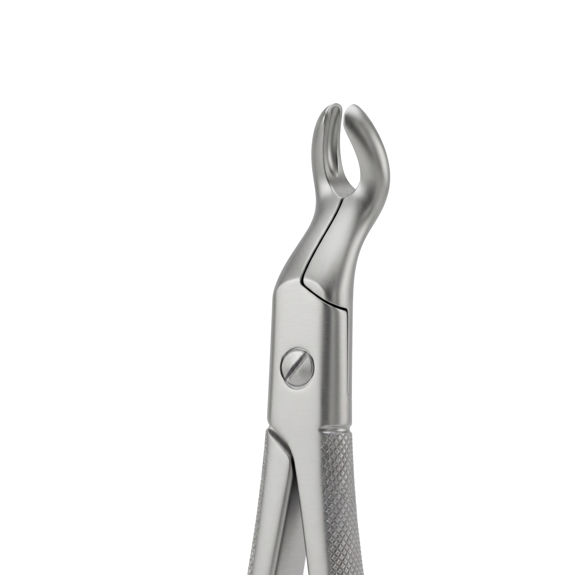 fig 67 upper third molars