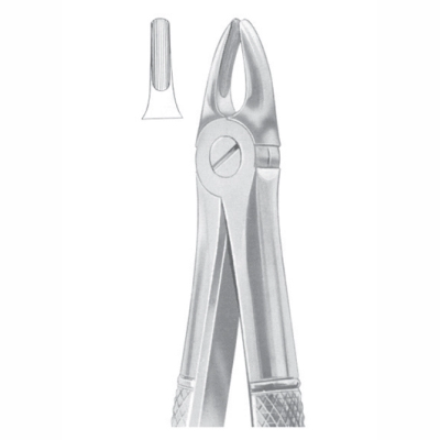 Upper incisors for children