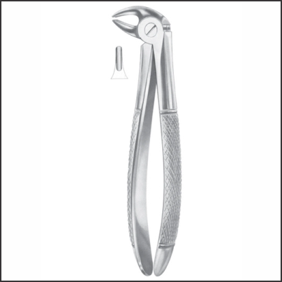 lower premolars for children