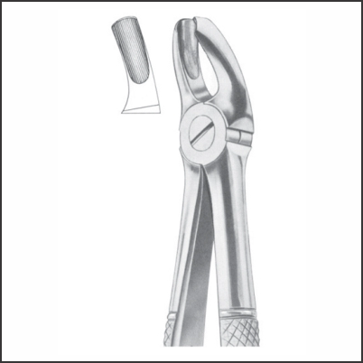 Upper molars left