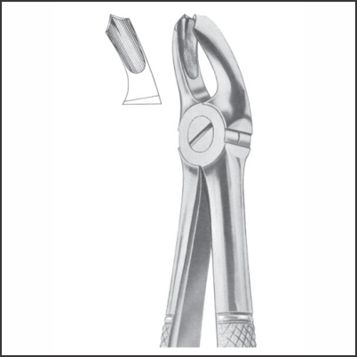 Upper molars