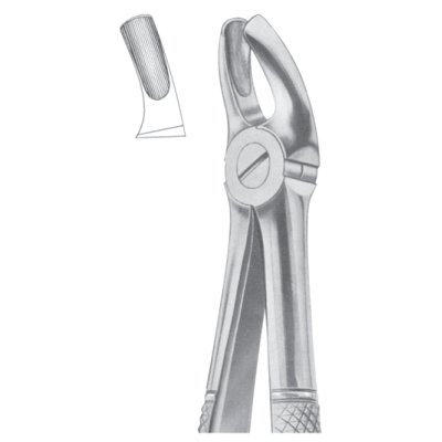 Upper molars