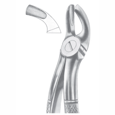 Upper third molars