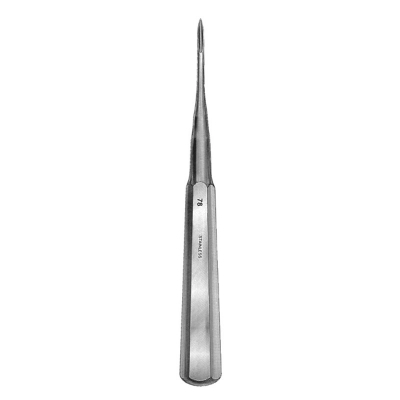 Root Tip